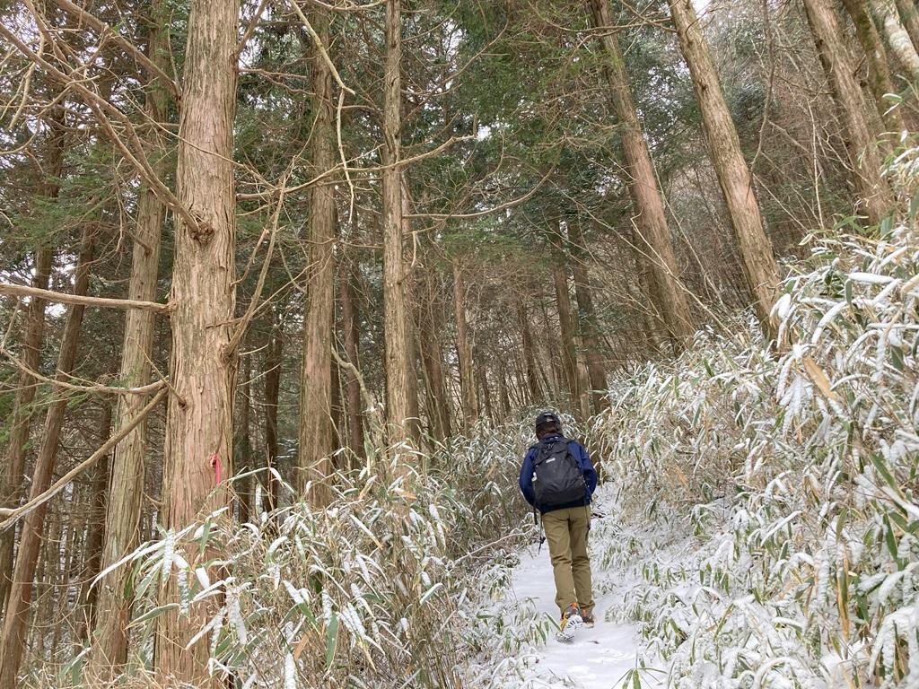 皿ヶ嶺畑野川ルート15：雪の山道を歩く娘