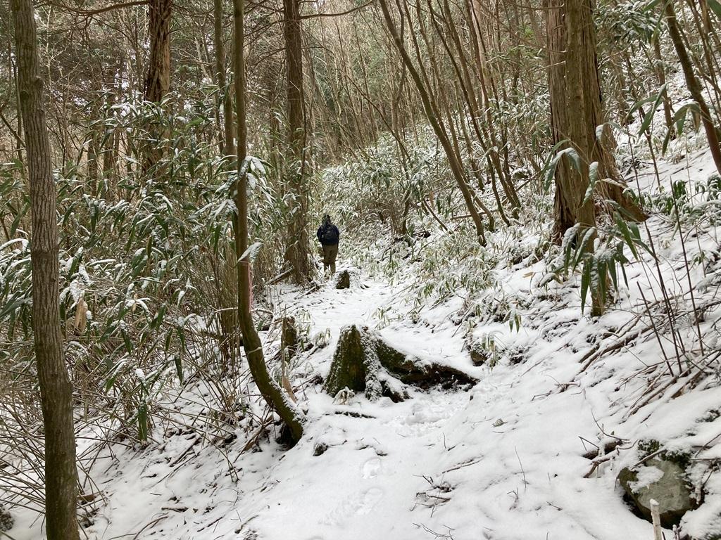 皿ヶ嶺畑野川ルート16：雪の山道を歩く娘