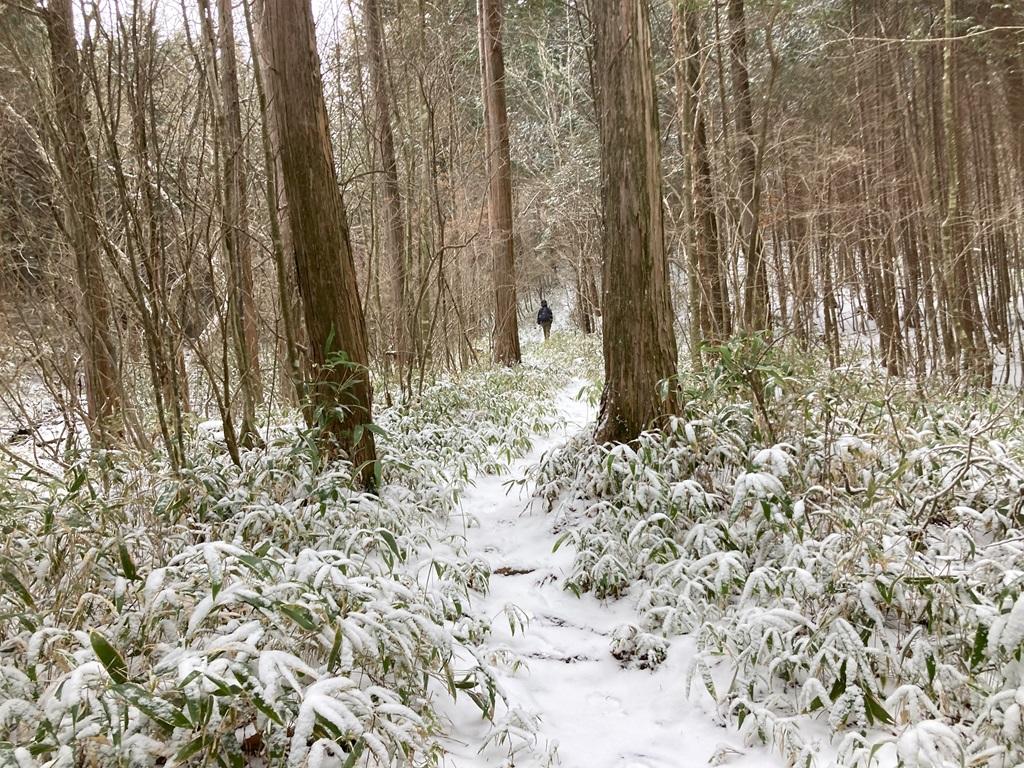 皿ヶ嶺畑野川ルート19：遥か先の雪の山道を歩く娘