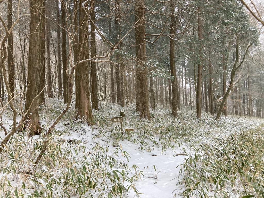 皿ヶ嶺畑野川ルート21：雪の山道、頂上・竜神平の標識