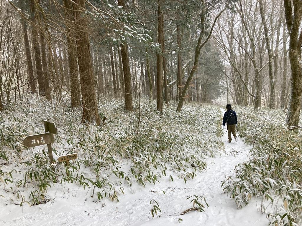 皿ヶ嶺畑野川ルート22：雪の山道を歩く娘