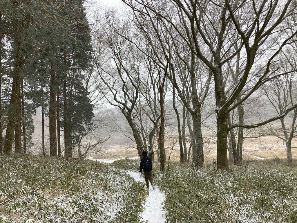 皿ヶ嶺畑野川ルート23：雪の山道を歩く娘、見えてきた竜神平