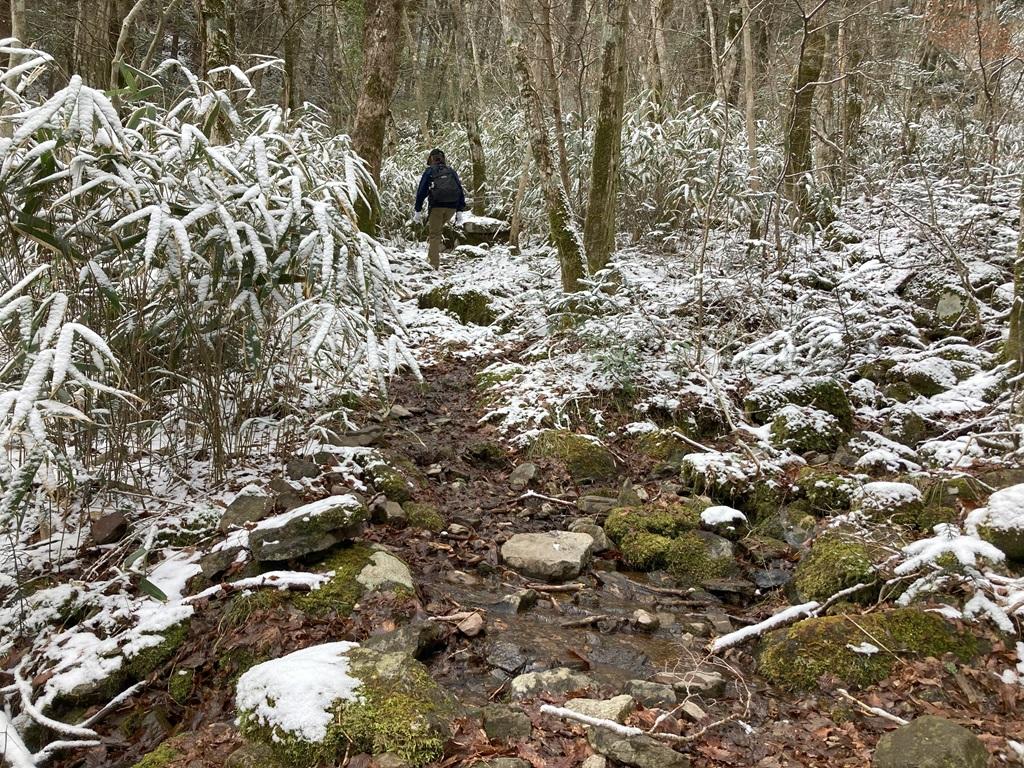 皿ヶ嶺畑野川ルート8：雪の山道を歩く娘