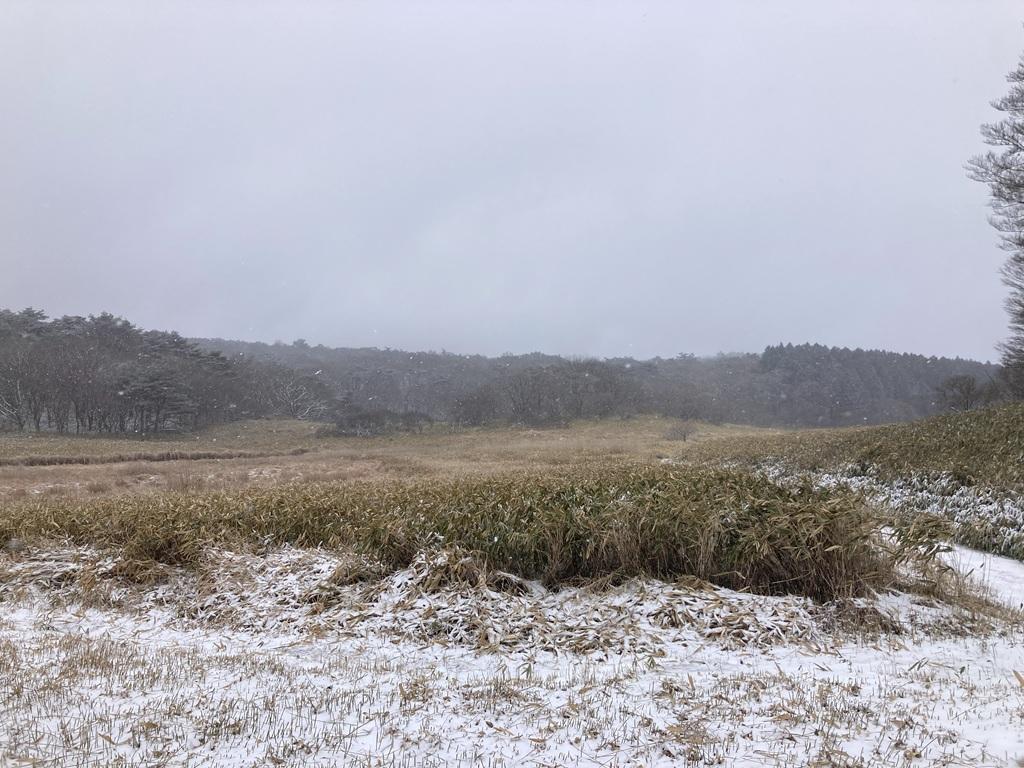 皿ヶ嶺 竜神平11：竜神平の平原とうっすらと積もる地面の雪