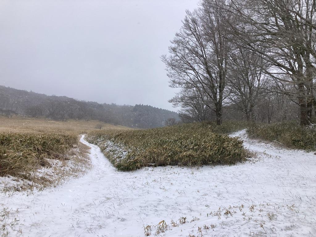 皿ヶ嶺 竜神平12：竜神平の平原と雪道