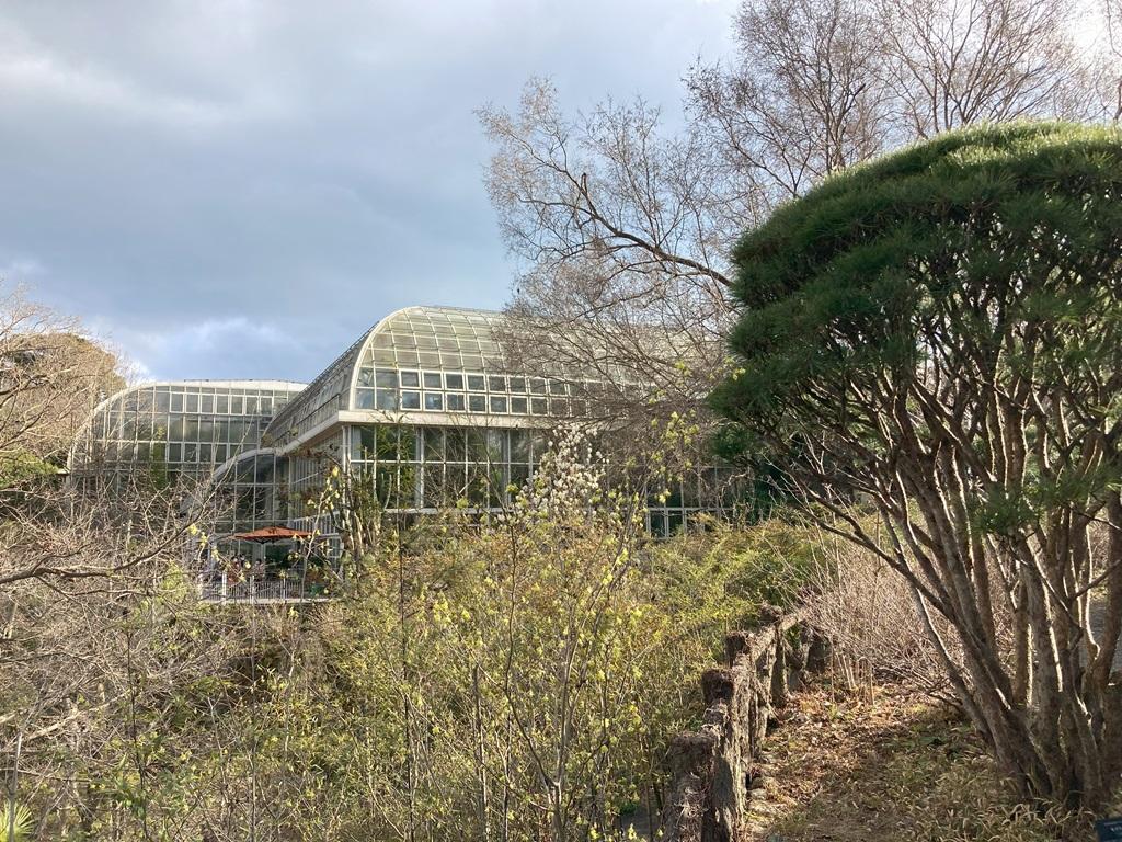 高知県立牧野植物園 温室外観