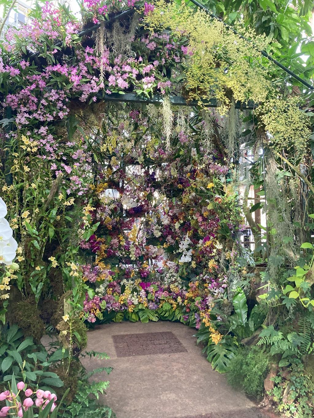 高知県立牧野植物園 温室内 たくさんの花に囲まれた場所