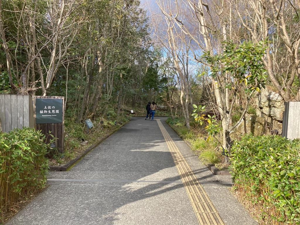 高知県立牧野植物園 土佐の植物生態園