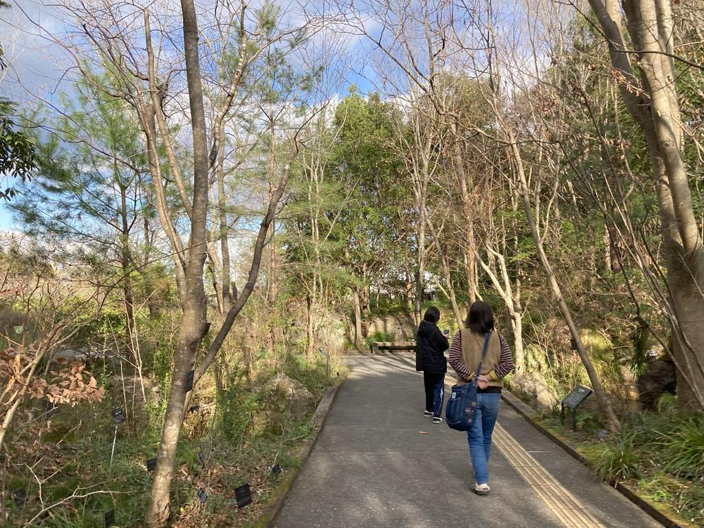 高知県立牧野植物園 土佐の植物生態園を歩く妻と娘