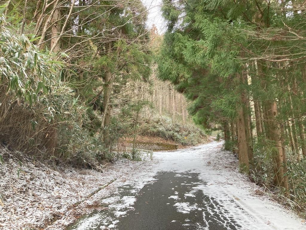 皿ヶ嶺登山口に向かう山道と雪