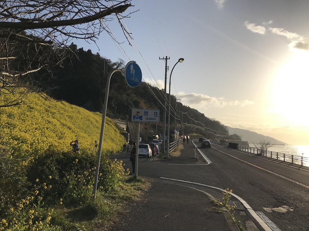 愛媛県伊予市双海町の菜の花、閏住の標識、国道378号