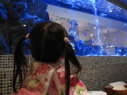 イタリアンダイニングANACAPRI店内の巨大な水槽を眺める娘