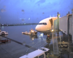 飛行機「ANA595便」（松山空港にて）